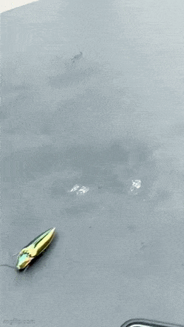 3DM����һ�̵�1610�� ��Ů���������������գ�