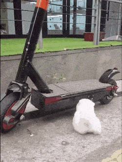 ���帣����ͼ�Ʒ�ϵ�� ���ò�˵��Ӱʦ̫��������