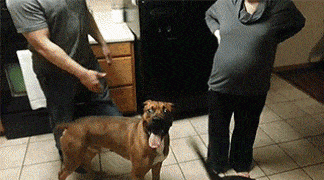 ���帣����ͼ�Ʒ�ϵ�� ˭����Ů�������ĺ�������