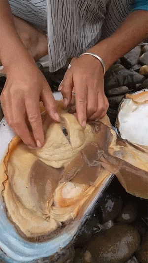 3DM����һ�̵�1636�� �ֵ��������������̾��