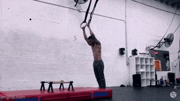 3DM����һ�̵�1636�� �ֵ��������������̾��