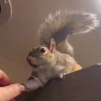 3DM����һ�̵�1607�� �����������˲�һ���ǽ���