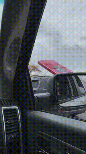 3DM����һ�̵�1608�� ������Ů���ѵ����������