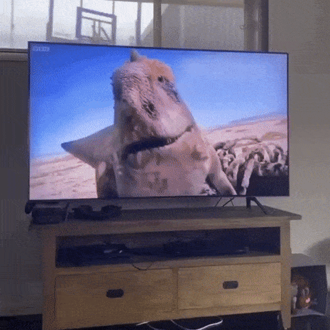 3DM����һ�̵�1608�� ������Ů���ѵ����������