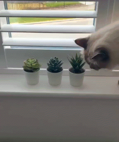 3DM����һ�̵�1608�� ������Ů���ѵ����������