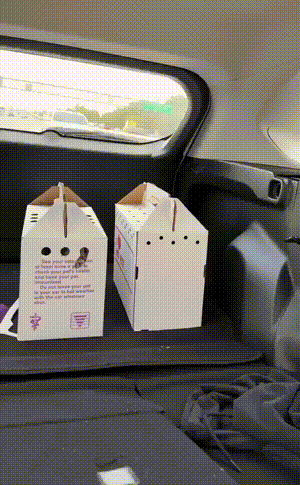 3DM����һ�̵�1608�� ������Ů���ѵ����������