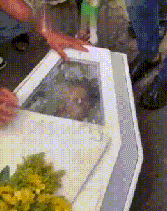 3DM����һ�̵�1608�� ������Ů���ѵ����������