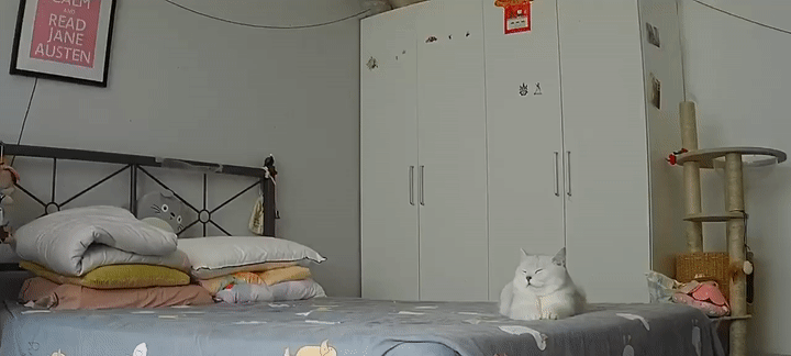 轻松一刻第1608期 这是你女朋友当伴娘的样子