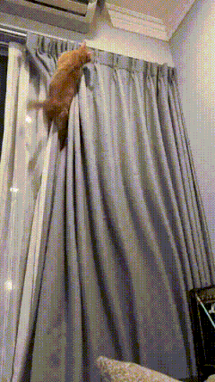 3DM����һ�̵�1608�� ������Ů���ѵ����������