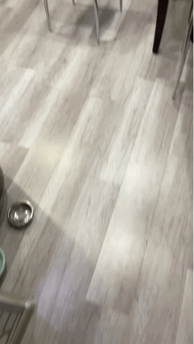 ���帣����ͼ�Ʒ�ϵ�� �ϰ���Ȼ��ζͬ���쳣��ζ