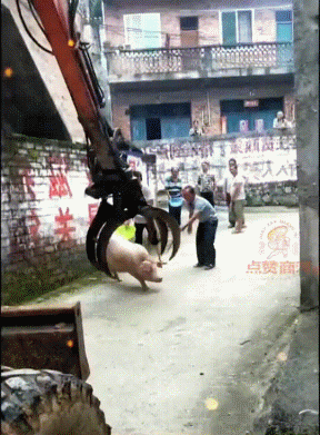 3DM����һ�̵�1607�� �����������˲�һ���ǽ���