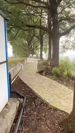 ���帣����ͼ�Ʒ�ϵ�� �ϰ���Ȼ��ζͬ���쳣��ζ