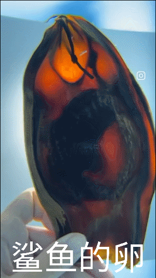 3DM����һ�̵�1607�� �����������˲�һ���ǽ���