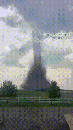 轻松一刻第1608期 这是你女朋友当伴娘的样子