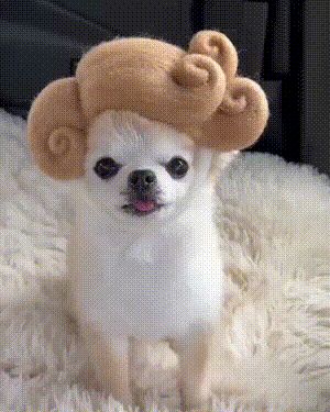 3DM����һ�̵�1608�� ������Ů���ѵ����������