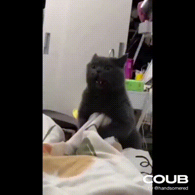 ���帣����ͼ�Ʒ�ϵ�� �ϰ���Ȼ��ζͬ���쳣��ζ