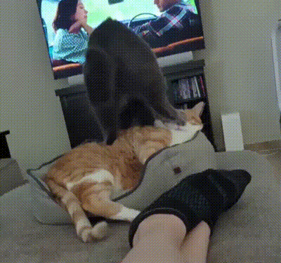 3DM����һ�̵�1608�� ������Ů���ѵ����������