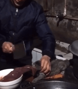 ���帣����ͼ�Ʒ�ϵ�� �ϰ���Ȼ��ζͬ���쳣��ζ