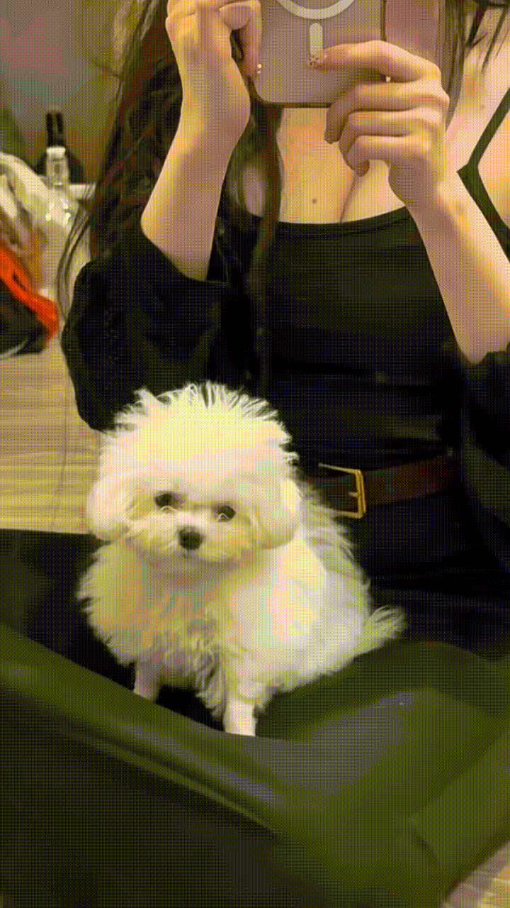 ���帣����ͼ�Ʒ�ϵ�� ��Ů����������°��ղ�ס