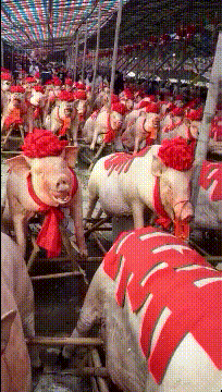 3DM����һ�̵�1665�� ˿��Ů��ʿ׼����ȭ��ϰ��