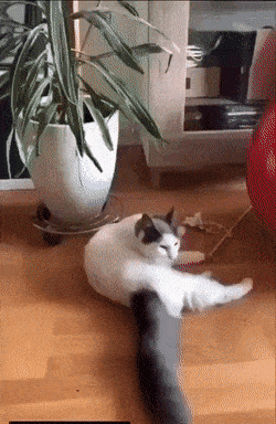 3DM����һ�̵�1665�� ˿��Ů��ʿ׼����ȭ��ϰ��