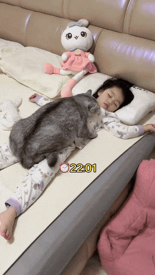 3DM����һ�̵�1665�� ˿��Ů��ʿ׼����ȭ��ϰ��