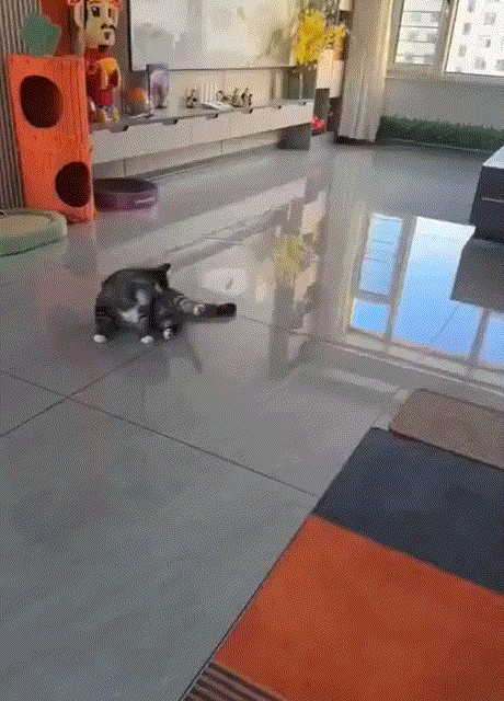 3DM����һ�̵�1665�� ˿��Ů��ʿ׼����ȭ��ϰ��