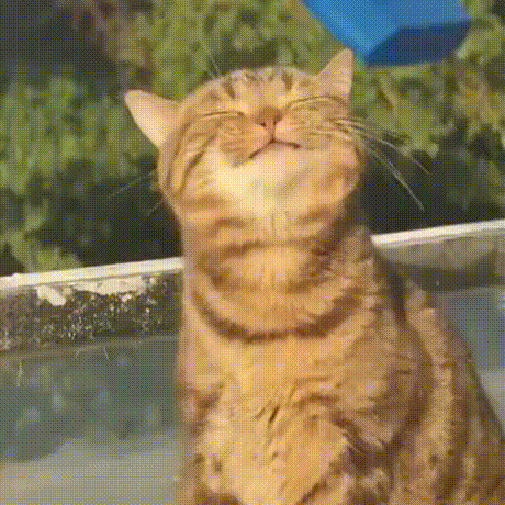 3DM����һ�̵�1665�� ˿��Ů��ʿ׼����ȭ��ϰ��