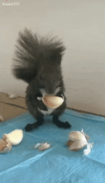 3DM����һ�̵�1670�� ��Ա���浽��������AI��