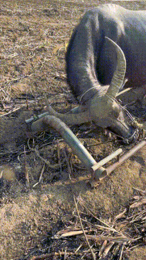 3DM����һ�̵�1670�� ��Ա���浽��������AI��