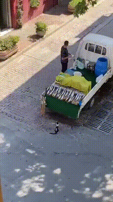 3DM����һ�̵�1670�� ��Ա���浽��������AI��