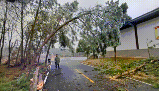 3DM����һ�̵�1670�� ��Ա���浽��������AI��