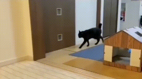 3DM����һ�̵�1670�� ��Ա���浽��������AI��