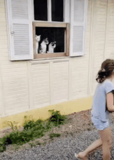 3DM����һ�̵�1670�� ��Ա���浽��������AI��