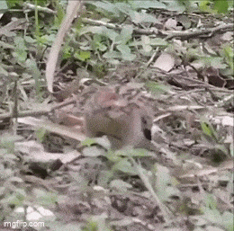 3DM����һ�̵�1670�� ��Ա���浽��������AI��