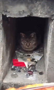 3DM����һ�̵�1670�� ��Ա���浽��������AI��