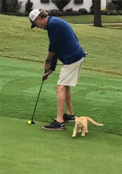 3DM����һ�̵�1670�� ��Ա���浽��������AI��