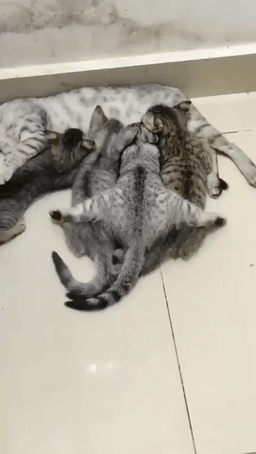 3DM����һ�̵�1670�� ��Ա���浽��������AI��