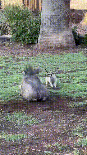 3DM����һ�̵�1671�� �����������������ˣ�