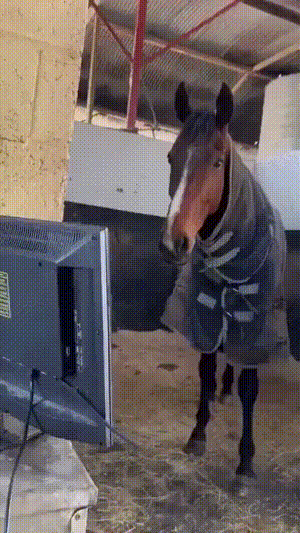 3DM����һ�̵�1672�� �Ը�����ſ��ԡ������㣡