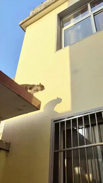 3DM����һ�̵�1671�� �����������������ˣ�