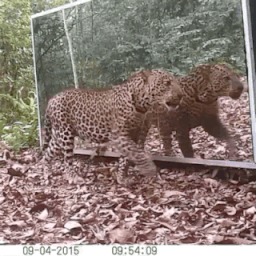 3DM����һ�̵�1671�� �����������������ˣ�