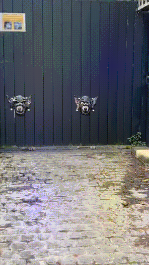 3DM����һ�̵�1672�� �Ը�����ſ��ԡ������㣡