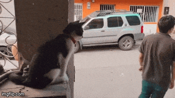 3DM����һ�̵�1671�� �����������������ˣ�