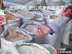 3DM����һ�̵�1671�� �����������������ˣ�