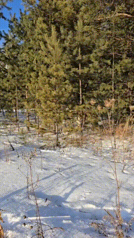 3DM����һ�̵�1671�� �����������������ˣ�