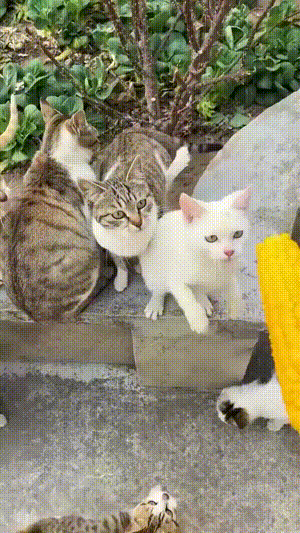 3DM����һ�̵�1671�� �����������������ˣ�