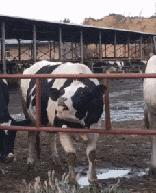 3DM����һ�̵�1672�� �Ը�����ſ��ԡ������㣡