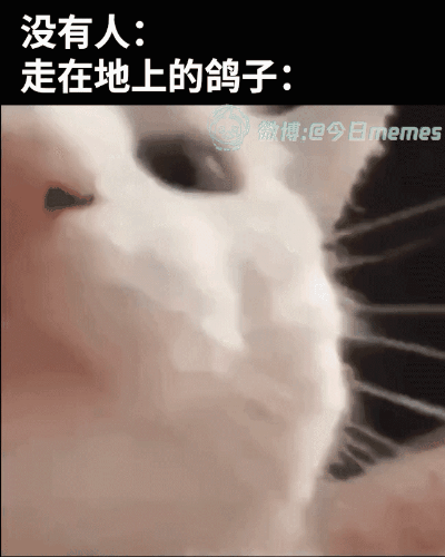 3DM����һ�̵�1671�� �����������������ˣ�