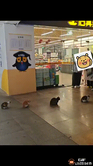 3DM����һ�̵�1672�� �Ը�����ſ��ԡ������㣡